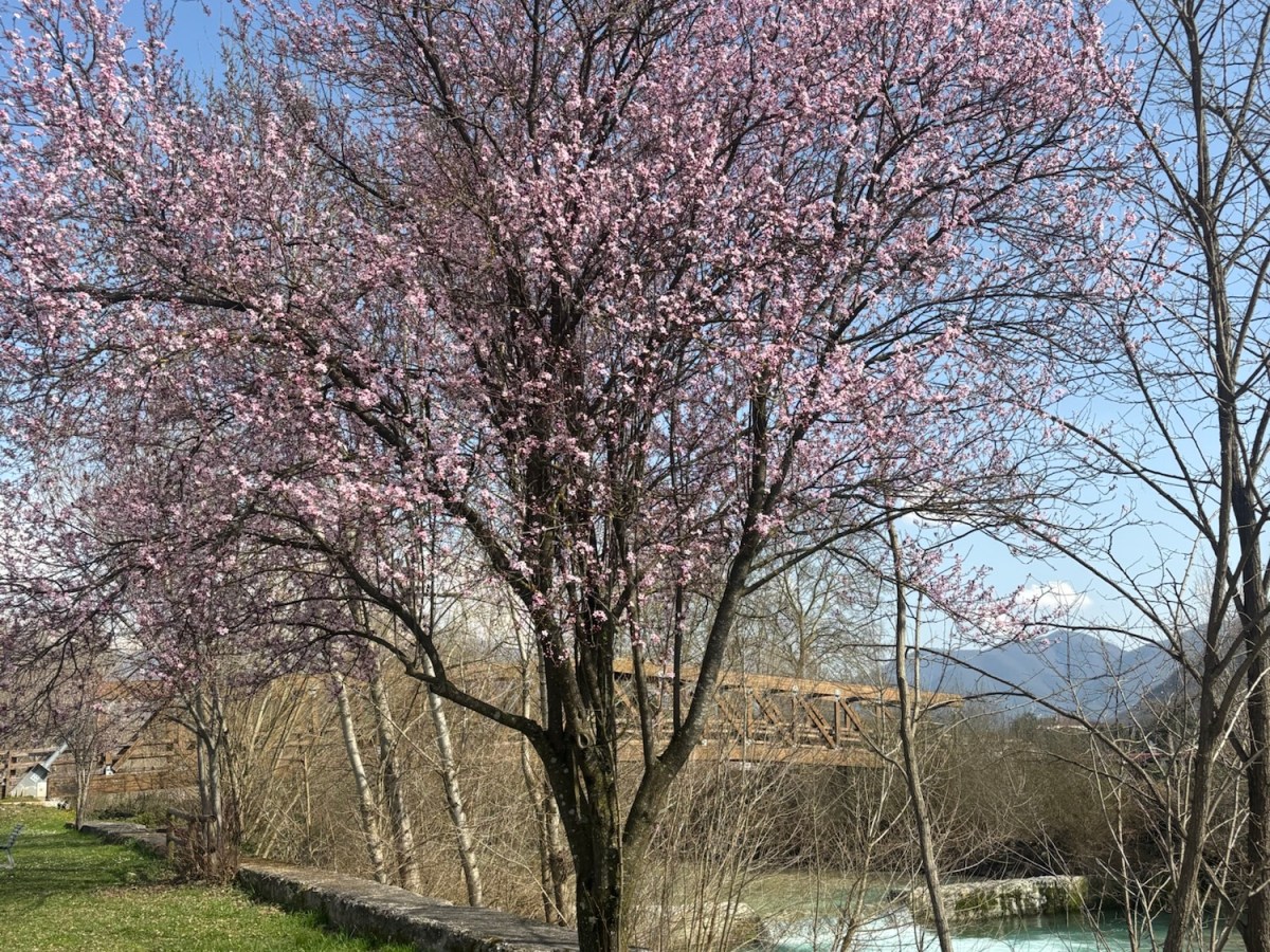 Marzo: il mese in cui possiamo&nbsp;ricominciare
